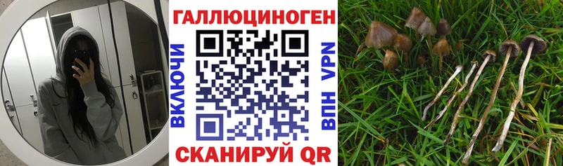 Псилоцибиновые грибы мухоморы  Моршанск 